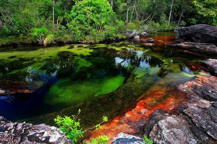 Đẹp[-]đến[-]nghẹt[-]thở:[-]Sắc[-]màu[-]lộng[-]lẫy[-]của[-]thiên[-]nhiên[-](tiếp[-]theo)