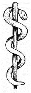 Rắn[-]thần[-]y[-]-[-]biểu[-]tượng[-]y[-]tế[-]sống[-]ở[-]Ba[-]Lan
