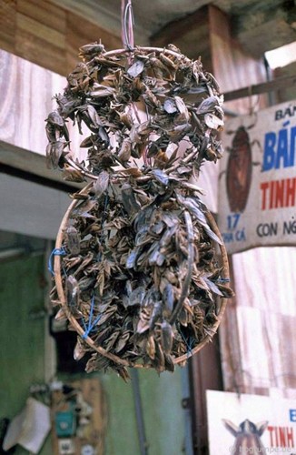 Một[-]thời[-]phố[-]cổ[-]Hà[-]Nội[-]những[-]năm[-]1990