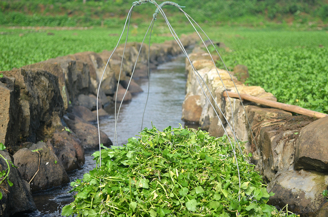 Quảng[-]Trị[-]khôi[-]phục[-]giếng[-]cổ[-]2.000[-]năm[-]ở[-]Gio[-]An