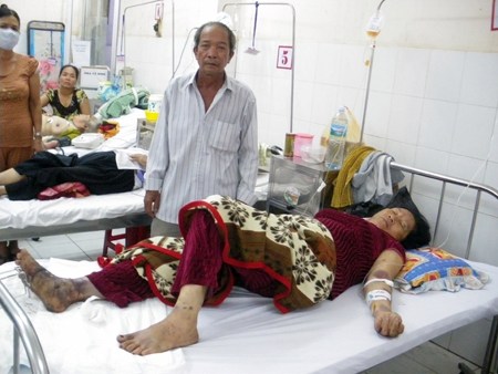 Nọc[-]độc[-]rắn[-]lục[-]đuôi[-]đỏ[-]nguy[-]hiểm[-]cỡ[-]nào?