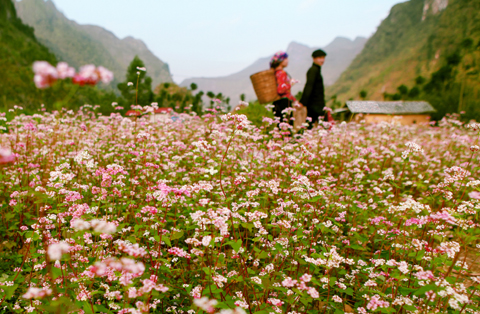 Miền[-]núi[-]phía[-]Bắc[-]mưa[-]to,[-]nhiều[-]vùng[-]có[-]thể[-]xảy[-]ra[-]dông[-]lốc