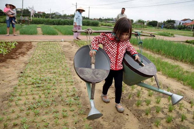 Một[-]ngày[-]làm[-]nông[-]dân[-]ở[-]Hội[-]An[-]của[-]bé[-]Riley[-]Stirling[-]4[-]tuổi[-]