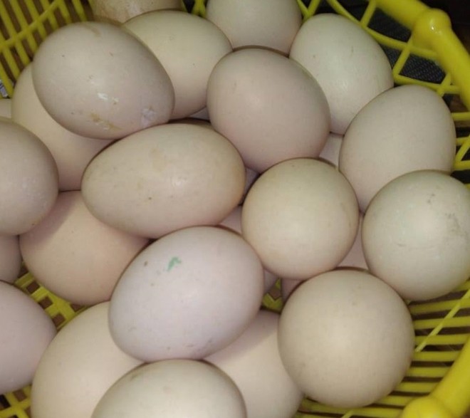 Một[-]số[-]sai[-]lầm[-]trong[-]ăn[-]uống[-]dễ[-]mắc[-]bệnh