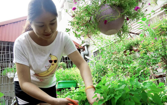 Vườn[-]rau[-]sạch,[-]hoa[-]siêu[-]đẹp[-]giúp[-]cả[-]nhà[-]gắn[-]kết