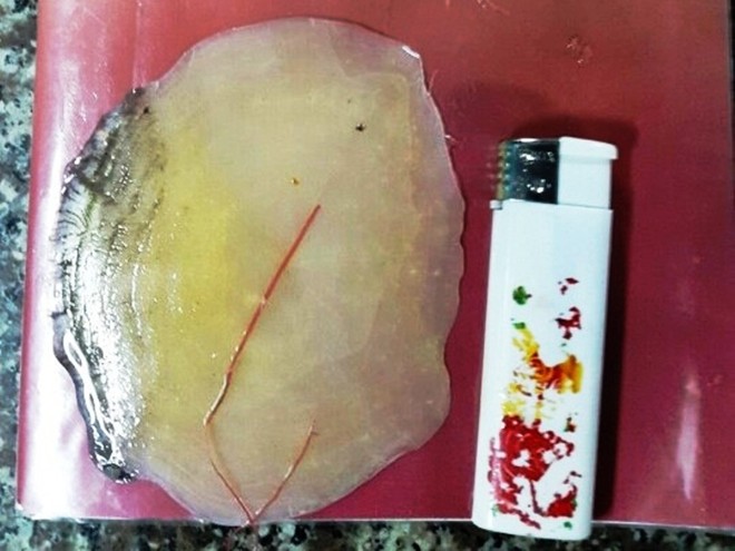 Thịt[-]cá[-]hô[-]khổng[-]lồ[-]giá[-]4[-]triệu/kg[-]ở[-]Sài[-]Gòn