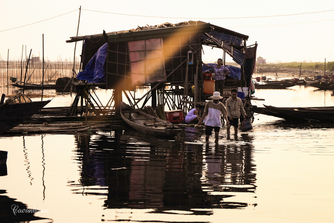 Cuộc[-]sống[-]bình[-]yên[-]ở[-]đầm[-]Chuồn