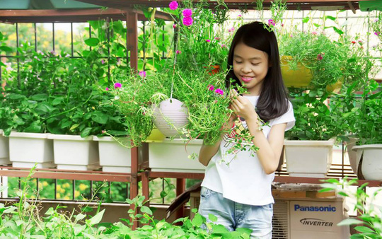 Vườn[-]rau[-]sạch,[-]hoa[-]siêu[-]đẹp[-]giúp[-]cả[-]nhà[-]gắn[-]kết
