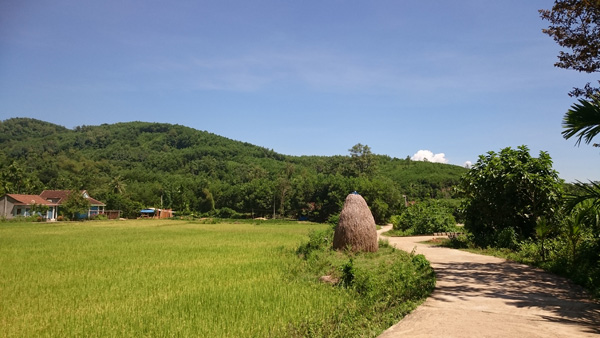 Làng[-]cổ[-]Lộc[-]Yên[-]-[-]Ngôi[-]làng[-]trong[-]cổ[-]tích
