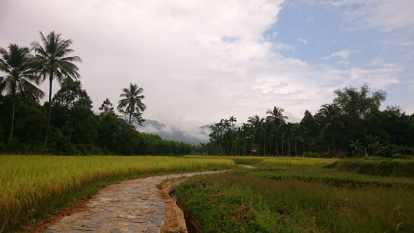 Làng[-]cổ[-]Lộc[-]Yên[-]-[-]Ngôi[-]làng[-]trong[-]cổ[-]tích
