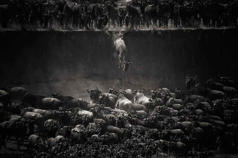 Ảnh[-]ấn[-]tượng[-]của[-]cuộc[-]thi[-][-]ảnh[-]National[-]Geographic[-]2014