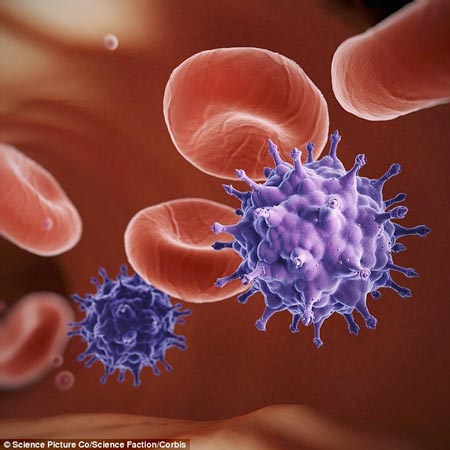 Vi[-]rút[-]HIV[-]ngày[-]càng[-]lành[-]tính!