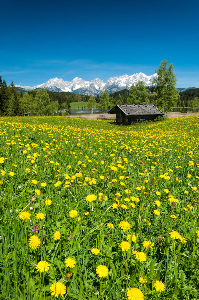 Khám[-]phá[-]vẻ[-]đẹp[-]"vùng[-]đất[-]tuyết"[-]Kitzbühel