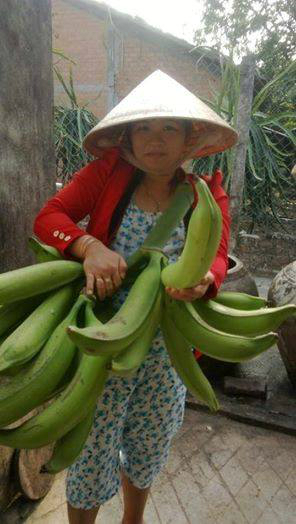 [-]Người[-]Sài[-]Gòn[-]kinh[-]ngạc[-]với[-]chuối[-]khổng[-]lồ