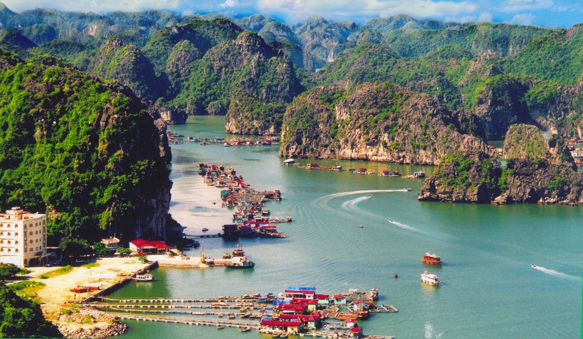 Sáng[-]kiến[-]thúc[-]đẩy[-]hoạt[-]động[-]bảo[-]tồn,[-]bảo[-]vệ[-]môi[-]trường[-]Vịnh[-]Hạ[-]Long[-]-[-]Cát[-]Bà
