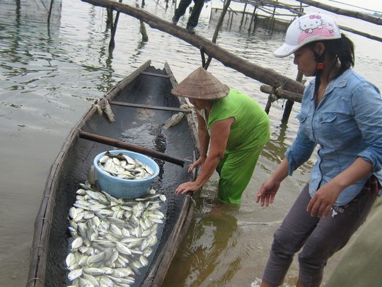 [-]Vụ[-]Formosa:[-]Không[-]thể[-]thất[-]hứa!