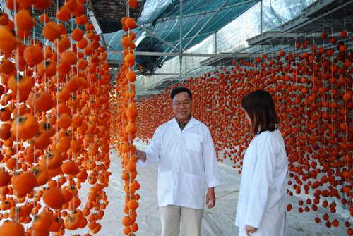 [-]Làm[-]giàu[-]từ[-]trái[-]hồng[-]Đà[-]Lạt[-]và[-]công[-]nghệ[-]Nhật