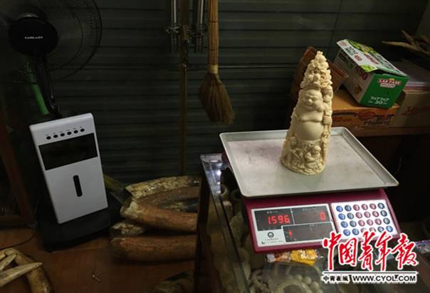 Đường[-]dây[-]buôn[-]bán[-]bất[-]hợp[-]pháp[-]ngà[-]voi[-]qua[-]biên[-]giới[-]Trung[-]-Việt