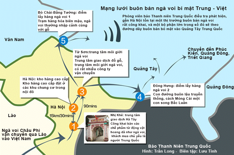 Đường[-]dây[-]buôn[-]bán[-]bất[-]hợp[-]pháp[-]ngà[-]voi[-]qua[-]biên[-]giới[-]Trung[-]-Việt