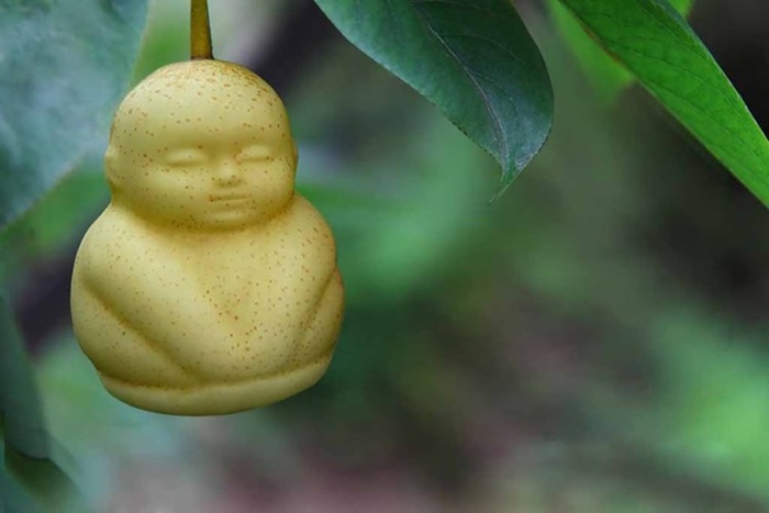 Độc[-]đáo[-]vườn[-]lê[-]tạo[-]hình...[-]em[-]bé
