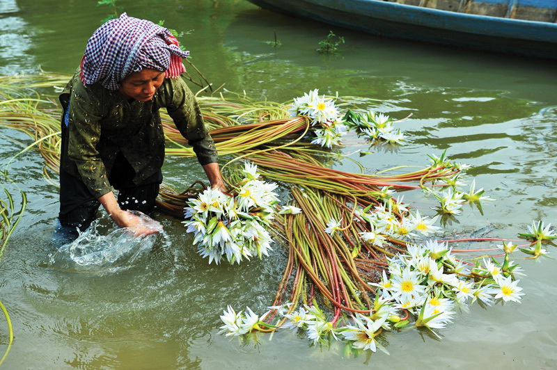 [-]Những[-]"truyền[-]thuyết[-]hiện[-]đại"[-]về[-]thủy[-]điện[-]Mekong[-]