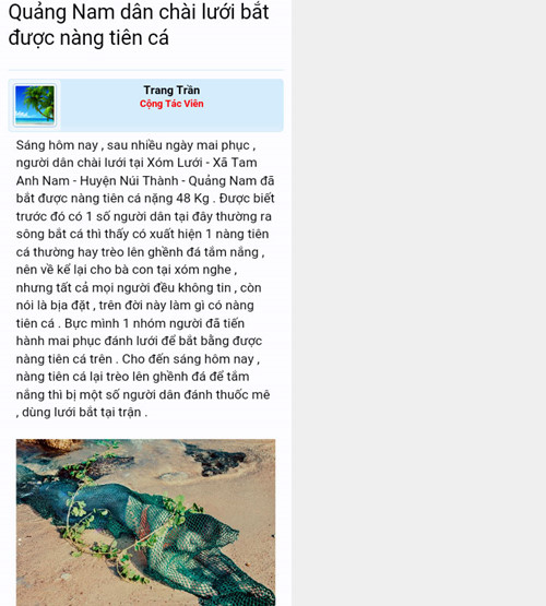 Truy[-]tìm[-]nguồn[-]tin[-]"nàng[-]tiên[-]cá[-]bị[-]đánh[-]thuốc[-]mê"