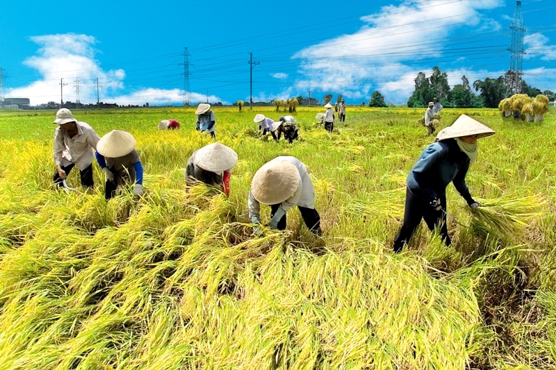 Bình[-]Thuận[-]đẩy[-]mạnh[-]nghiên[-]cứu,[-]ứng[-]dụng[-]khoa[-]học[-]công[-]nghệ[-]vào[-]sản[-]xuất[-]nông[-]nghiệp