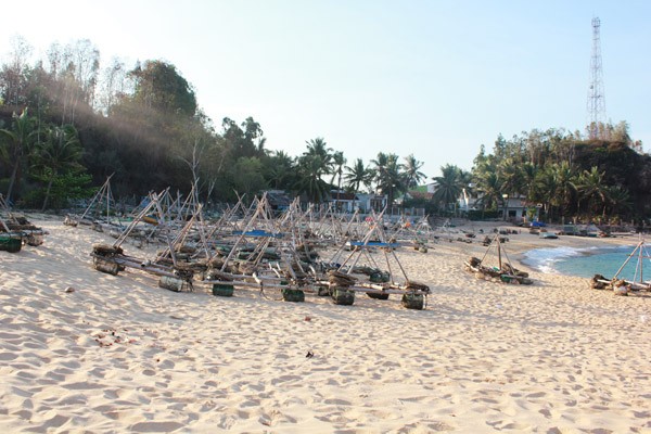 Chùm[-]ảnh[-]đẹp[-]mê[-]hoặc[-]của[-]Bãi[-]Xếp[-]-[-]Gềnh[-]Ráng