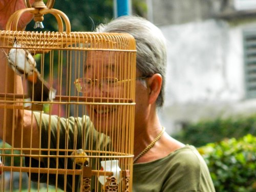 Cà[-]phê[-]chim[-]Tao[-]Đàn,[-]thú[-]vui[-]tao[-]nhã[-]của[-]người[-]Sài[-]Gòn