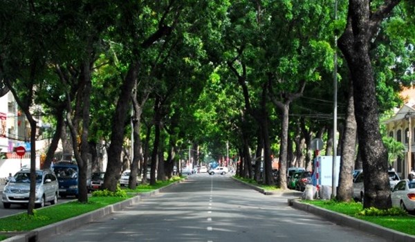 Đốn[-]hạ[-]cây[-]xanh,[-]màu[-]xanh[-]Sài[-]Gòn[-]chỉ[-]còn[-]trong[-]hoài[-]niệm