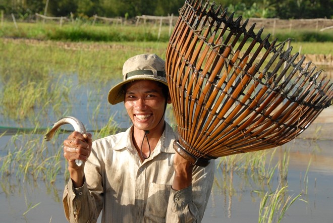 [-]Đẩy[-]côn,[-]nghề[-]kiếm[-]nửa[-]triệu[-]đồng[-]mỗi[-]ngày[-]ở[-]miền[-]Tây