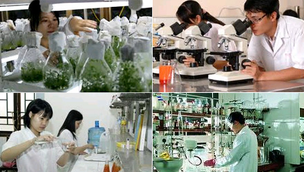 Công[-]bố[-]10[-]sự[-]kiện[-]khoa[-]học[-]công[-]nghệ[-]trong[-]nước[-]nổi[-]bật[-]2014