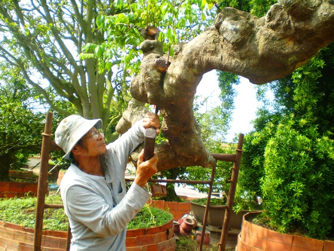 [-]Nghệ[-]nhân[-]kiếm[-]hơn[-]triệu[-]nhờ[-]sửa[-]kiểng[-]miền[-]Tây[-]mỗi[-]ngày[-]mùa[-]Tết