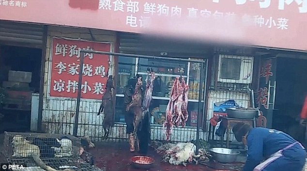 Sốc[-]với[-]cảnh[-]lột[-]da[-]chó[-]để[-]sản[-]xuất[-]hàng[-]hóa[-]tại[-]Trung[-]Quốc