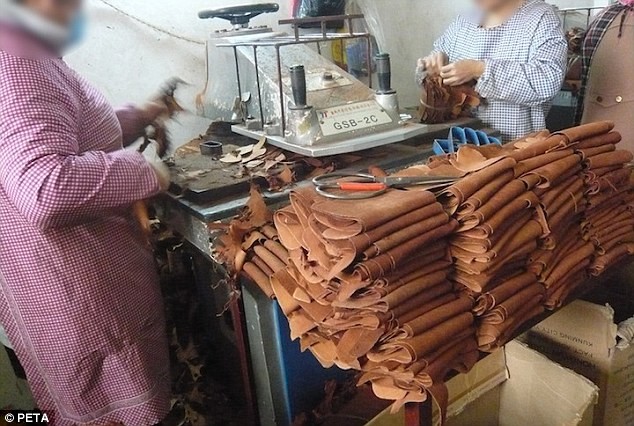 Sốc[-]với[-]cảnh[-]lột[-]da[-]chó[-]để[-]sản[-]xuất[-]hàng[-]hóa[-]tại[-]Trung[-]Quốc
