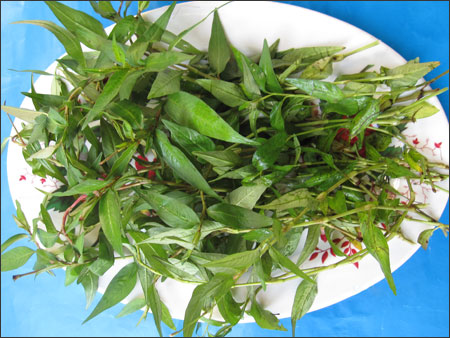 Rau[-]răm[-]làm[-]giảm[-]ham[-]muốn[-]ở[-]quý[-]ông[-]thực[-]hư[-]như[-]thế[-]nào?
