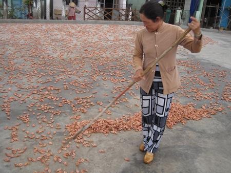 [-]Phát[-]sợ[-]đặc[-]sản[-]tôm[-]khô:[-]Ngâm[-]hóa[-]chất,[-]đốt[-]cháy[-]khét