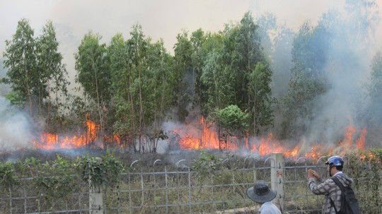 Bình[-]Dương:[-]Đốt[-]rác,[-]lửa[-]uy[-]hiếp[-]cả[-]khu[-]dân[-]cư