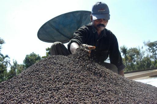 [-]Sản[-]xuất[-]tiêu[-]sạch[-]giúp[-]bảo[-]vệ[-]môi[-]trường