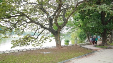  Miền Bắc rét đậm về đêm và sáng sớm, Nam bộ có nắng nhẹ