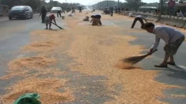 Đồng Nai: Xe chở ngô đổ ra đường, nhiều người lao vào hôi của