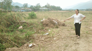   Công ty Quang Thanh bán “vịt trời” 
