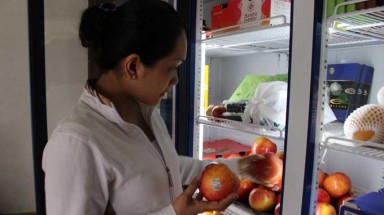  Thực phẩm tết: tràn lan hàng ngoại