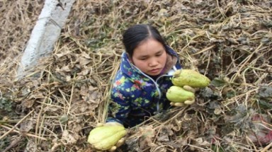  Nhiều thiên tai và kinh nghiệm phòng, chống