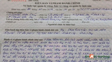 Liên tiếp tịch thu động vật hoang dã tại Đăk Nông