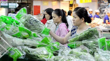  Đưa thương hiệu rau an toàn đến người tiêu dùng