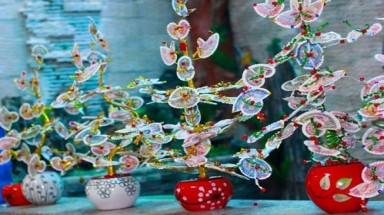  Cây tiền thật cháy hàng