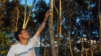  Trồng cây gây quỹ Đoàn