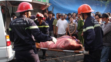 Cháy nhà trọ, 4 sinh viên tử vong: do chế tạo pháo?