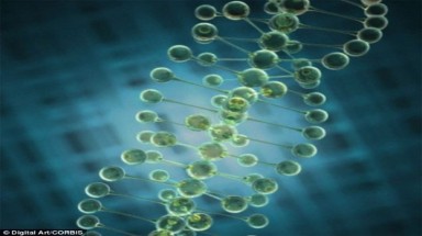  Người châu Âu có làn da trắng nhờ biến đổi gene